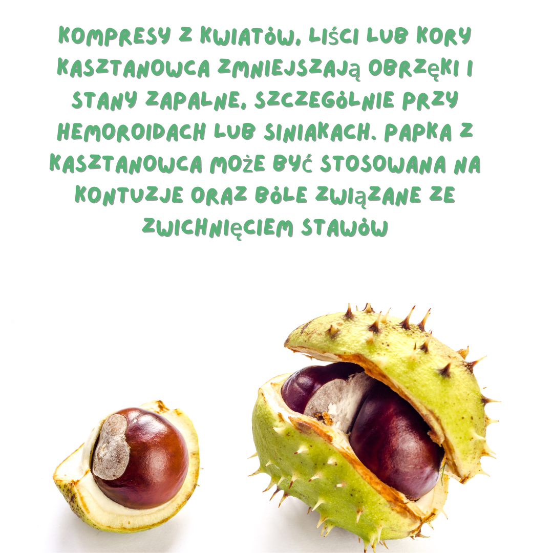 kasztan